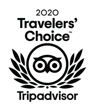 TravelersChoice2020